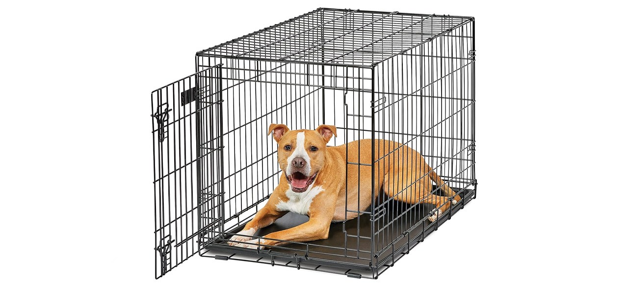 Midwest Homes for Pets Life Stages Folding Metal Crate