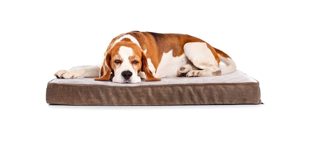 Milliard Orthopedic Memory Foam Dog Bed