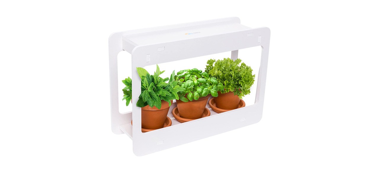 Best Mindful Design Indoor Herb Garden Grow Light