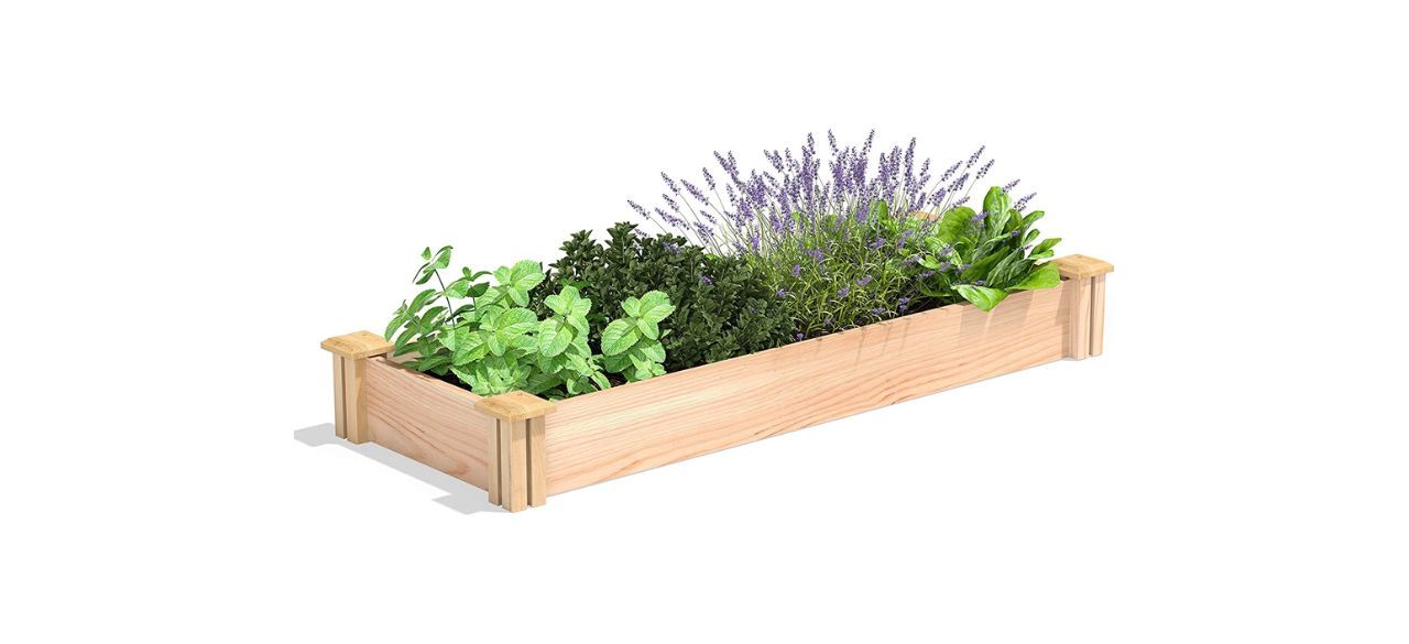 Best Miracle-Gro Cedar Raised Garden Bed