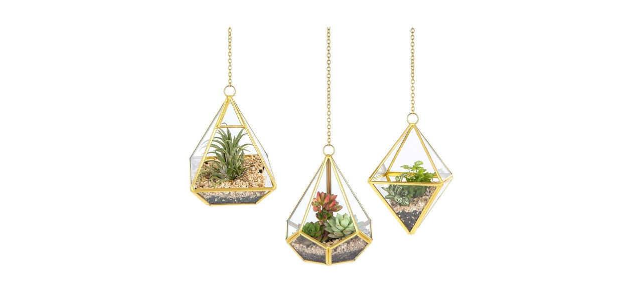 3-Piece Small Hanging Glass Terrariums on white background