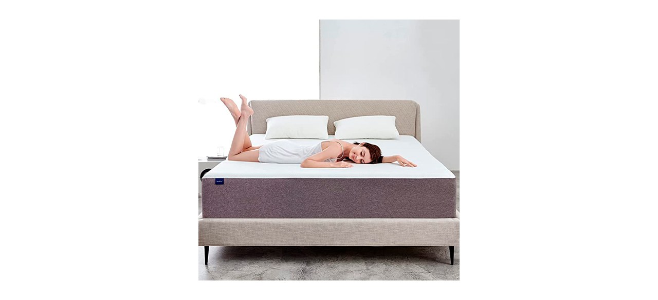 Best Molblly Memory Foam Firm Mattress