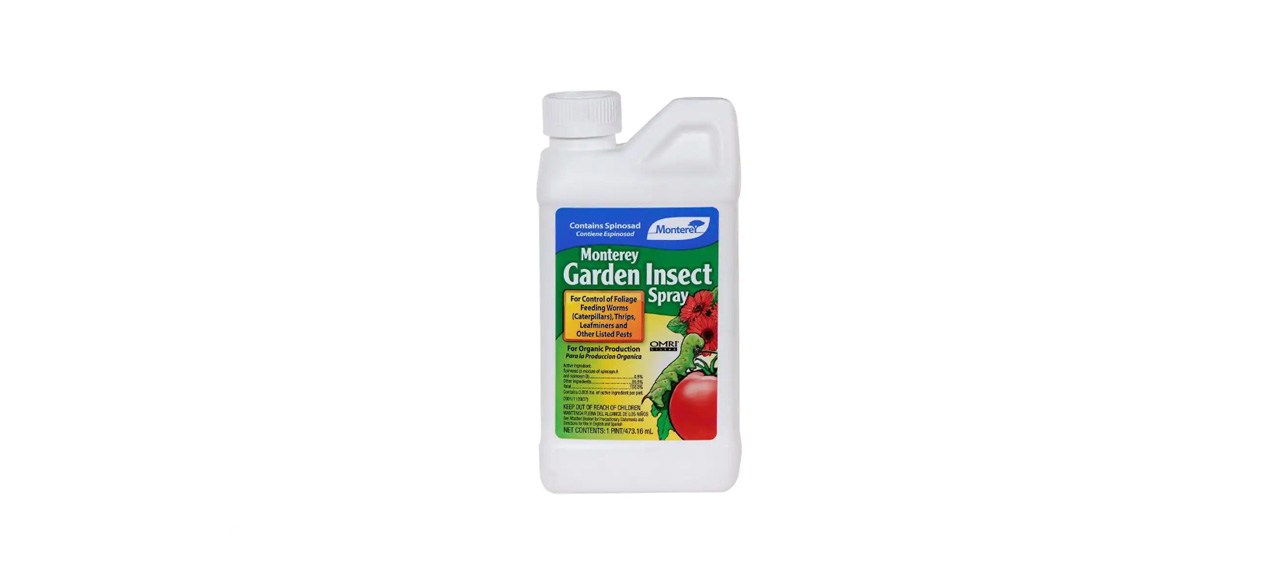 best Monterey Garden Insect Spray