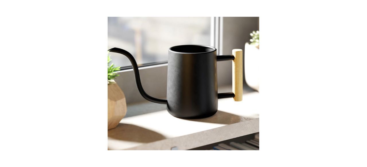 HB Design Co. 35-Ounce Indoor Watering Can