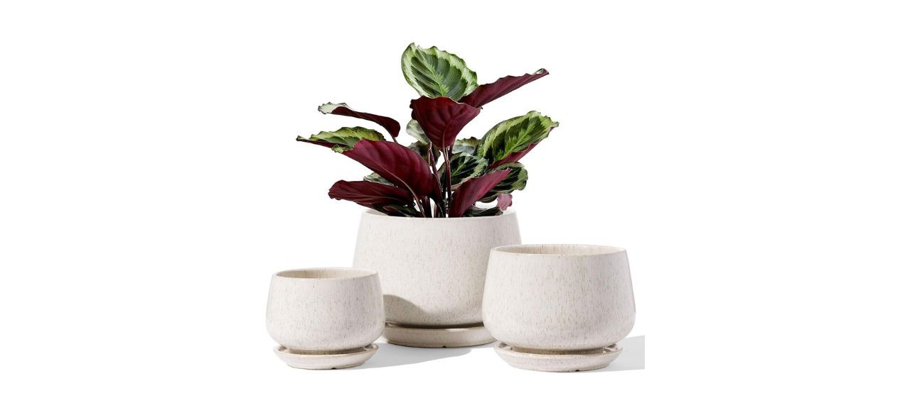 Le Tauci Set of Three Ceramic Planters