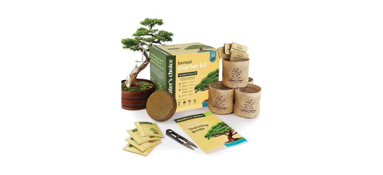 Planters' Choice Bonsai Starter Kit