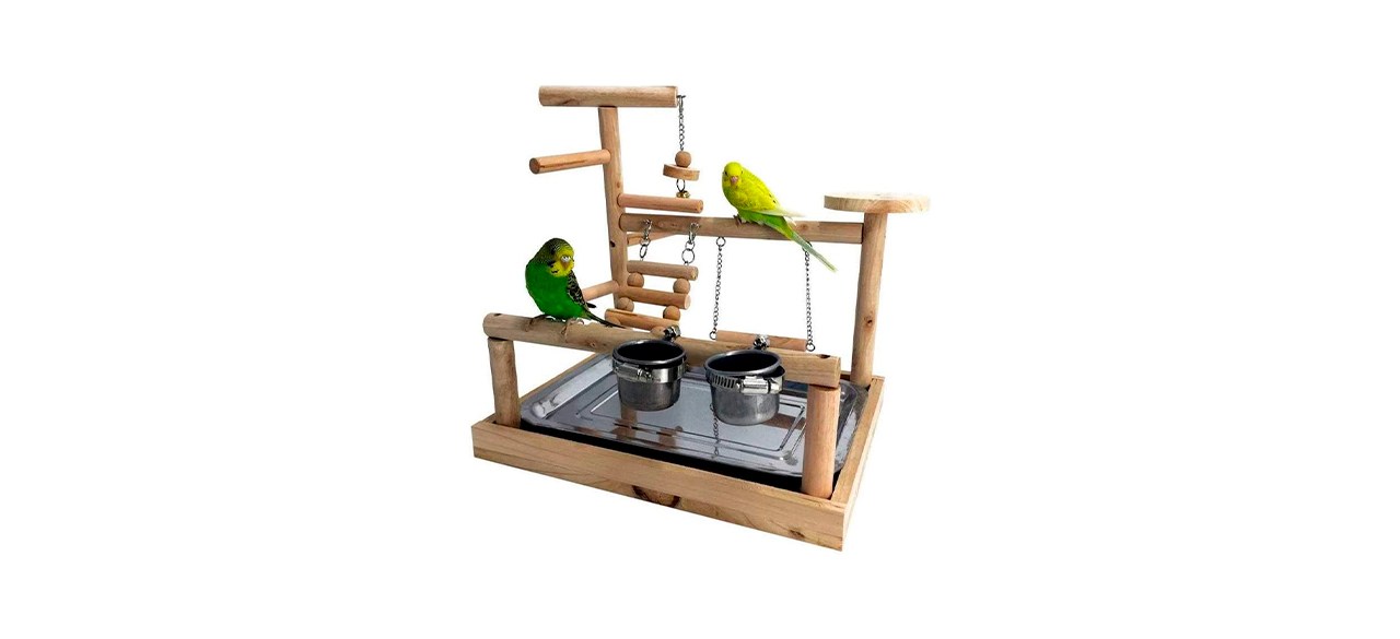 Best Mrli Pet Play Stand for Birds