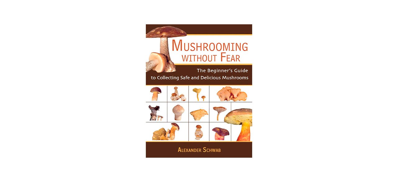 Best Mushrooming without Fear- The Beginner’s Guide to Collecting Safe and Delicious Mushrooms