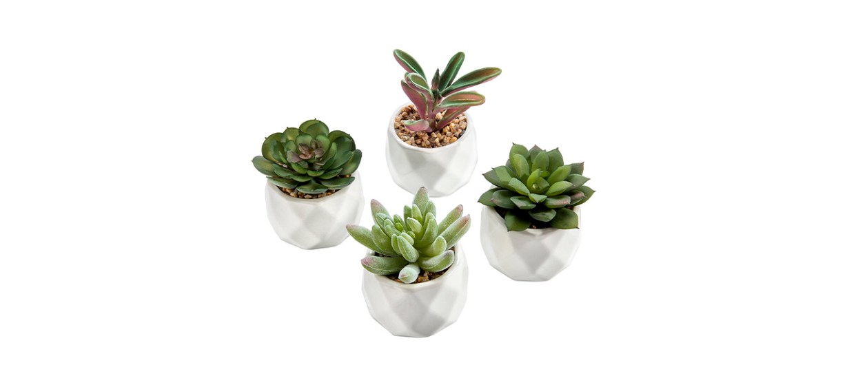 Best MyGift Miniature Artificial Succulents Best MyGift Miniature Artificial Succulents