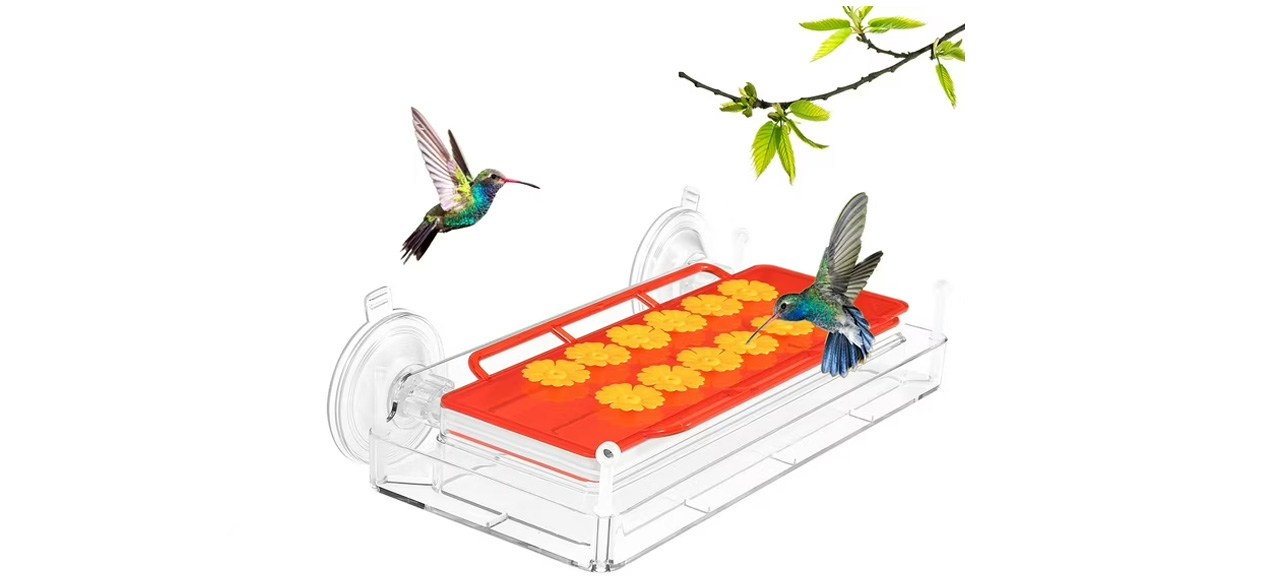 Naipo Hummingbird Feeders for Outdoors