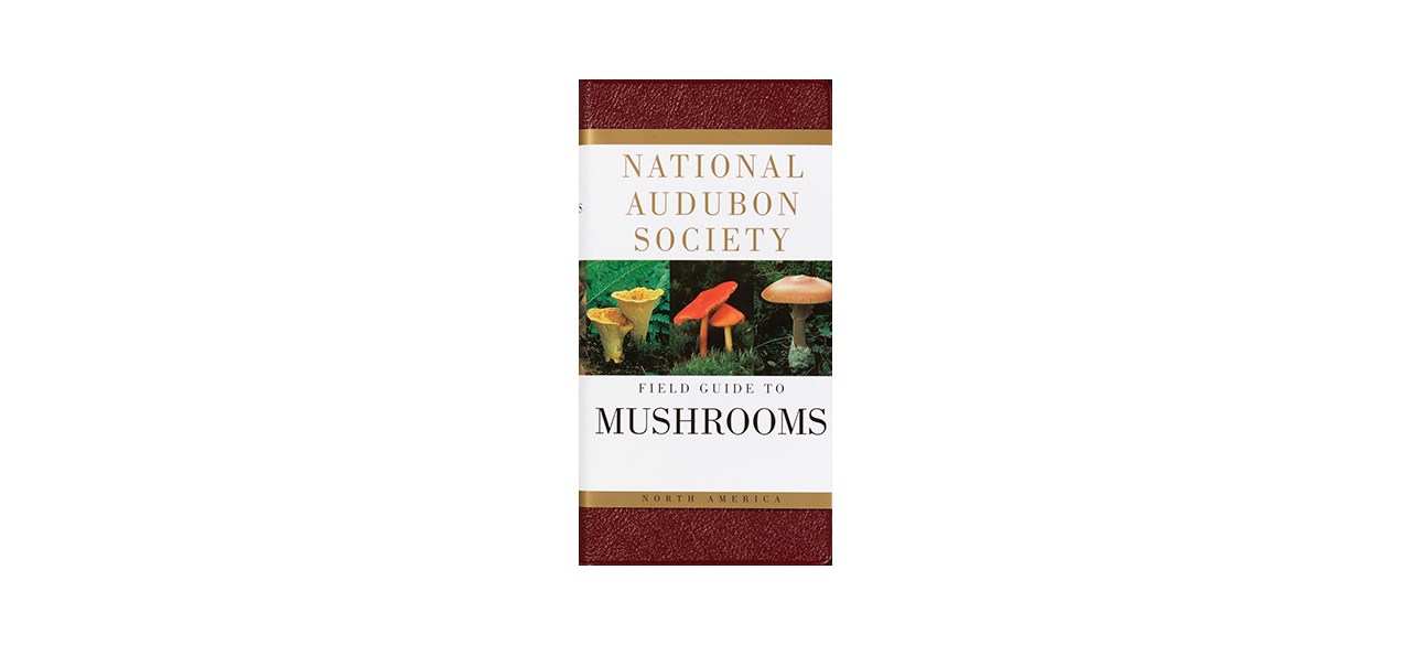 Best National Audubon Society Field Guide to North American Mushrooms