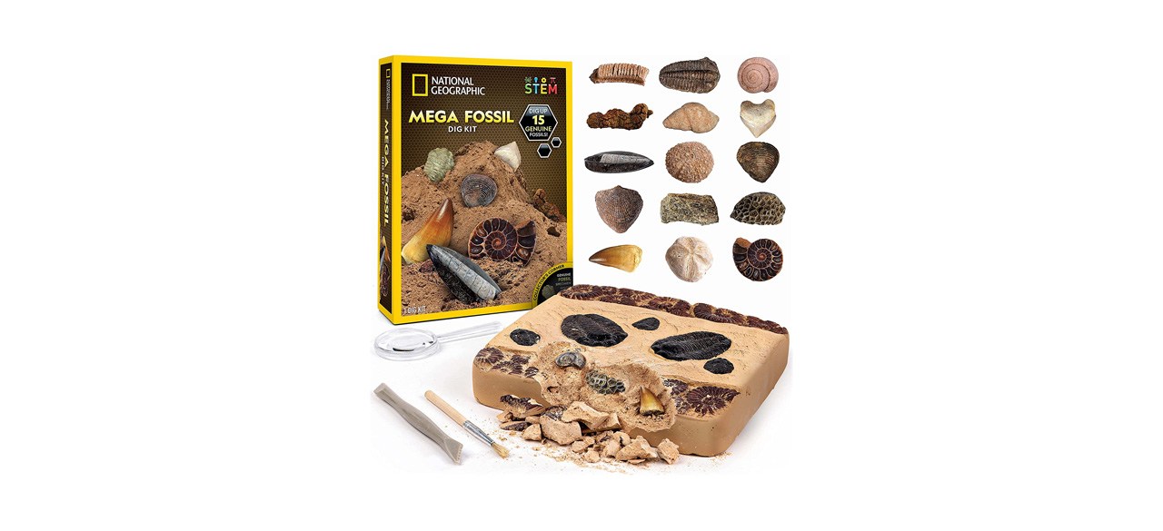 Best National Geographic Mega Fossil Dig Kit