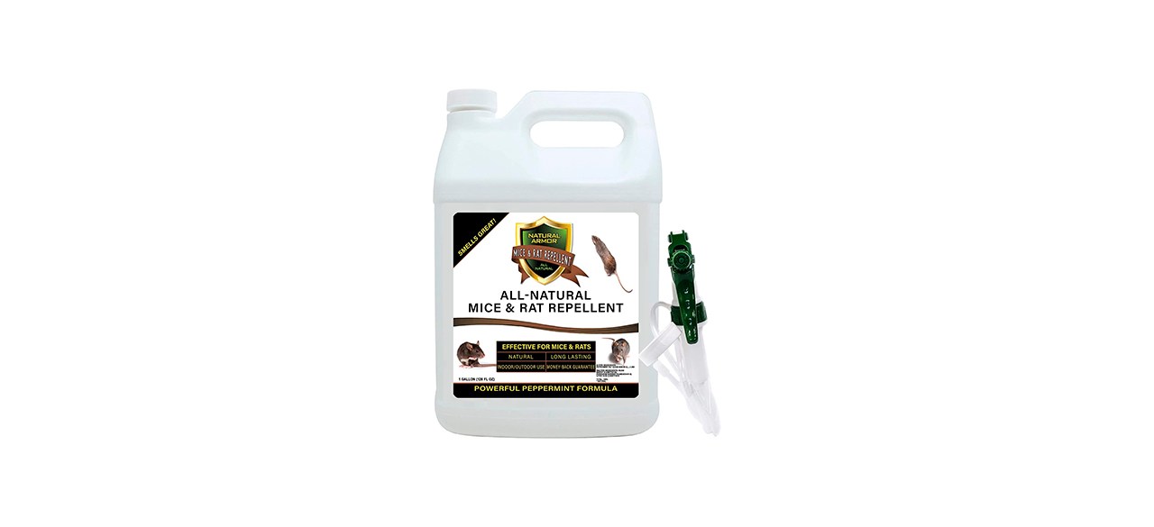 Best Natural Armor Mice and Rat Repellent