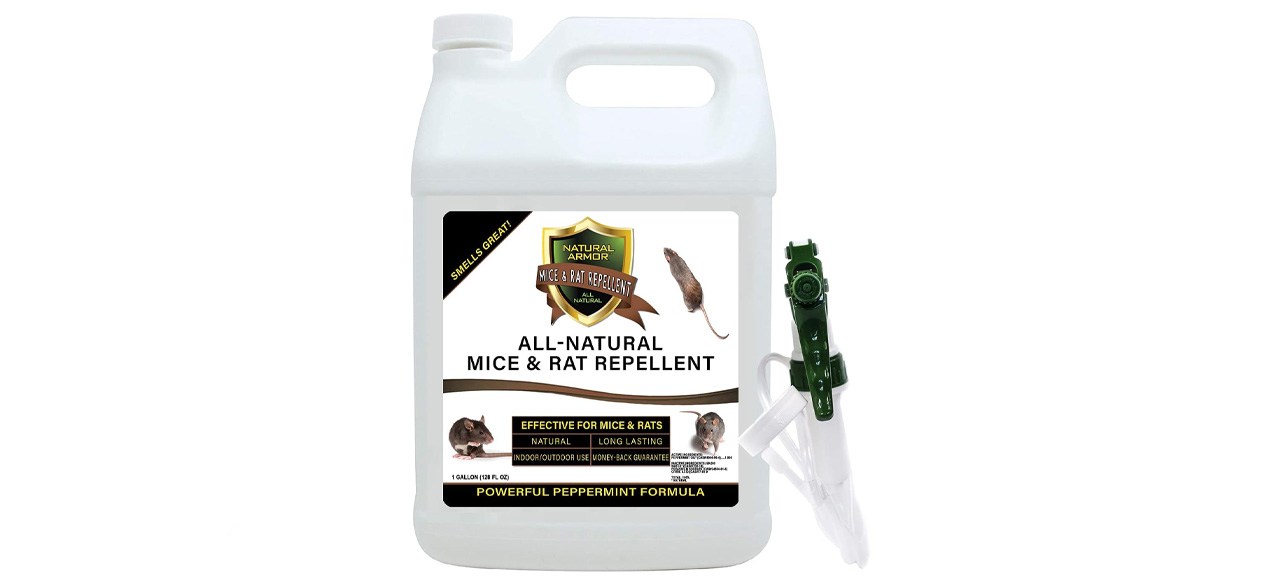 Best Natural Armor Mice and Rat Repellent