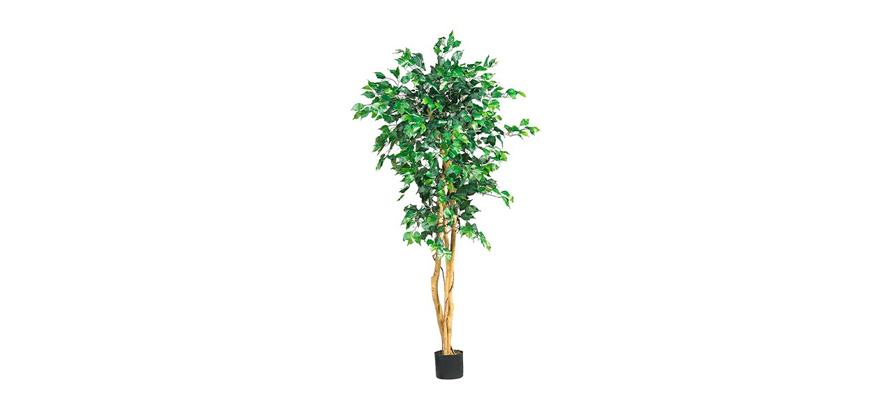 Best Nearly Natural Ficus Artificial Tree