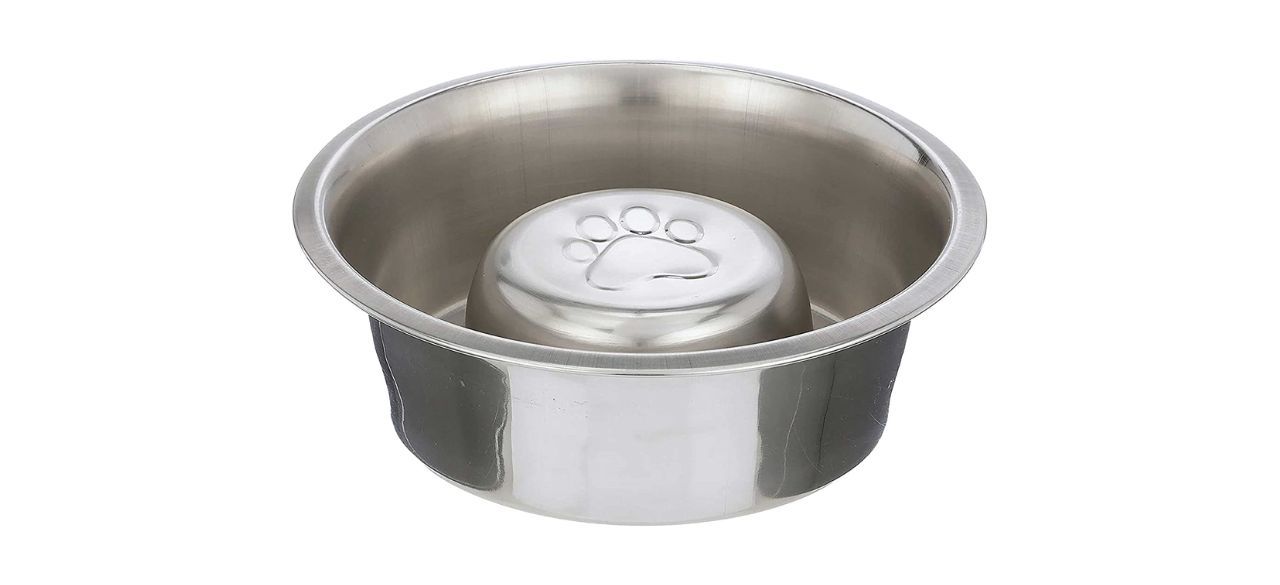 Neater Pet Brands Slow Feed Bowl