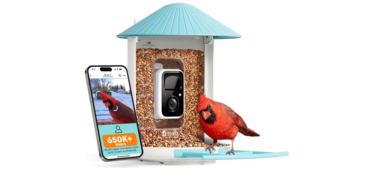 NETVUE by Birdfy Smart Bird Feeder with Camera