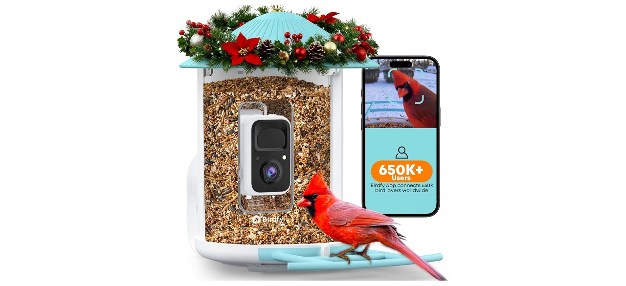 NETVUE by Birdfy Smart Bird Feeder