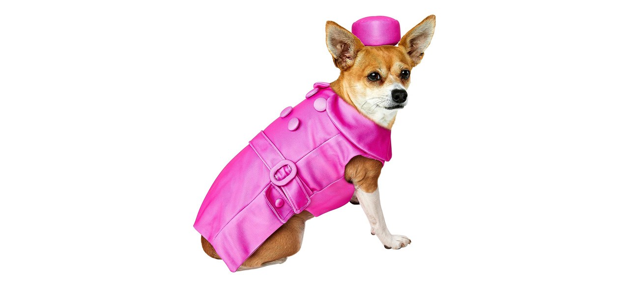 Best Rubie's Legally Blonde 2 Bruiser Woods Costume