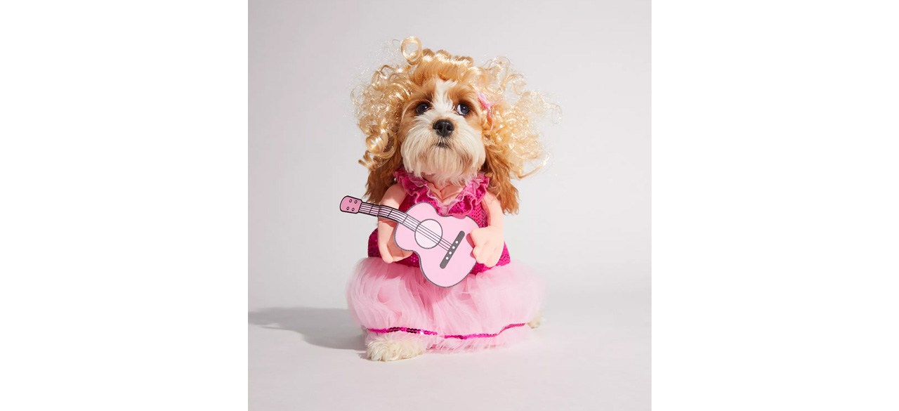 Best Urban Outfitters Doggy Parton Concert Pet Costume