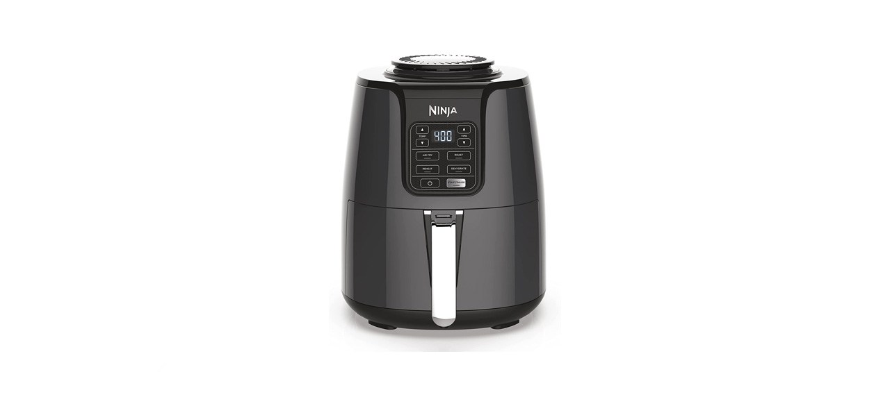 best Ninja AF101 4-quart Air Fryer