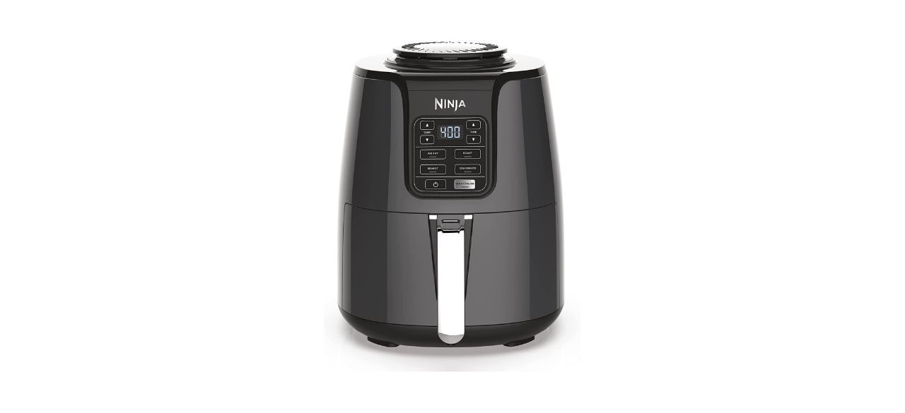 Best Ninja AF101 Air Fryer