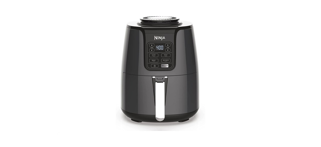 best Ninja Air Fryer