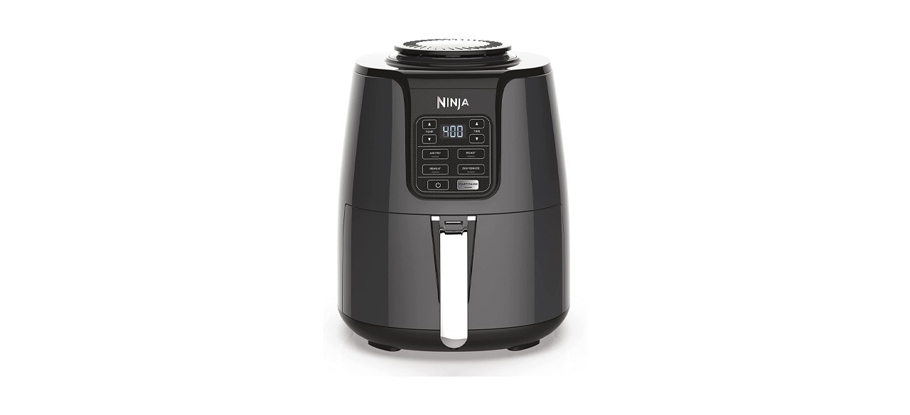 Best Ninja Air Fryer