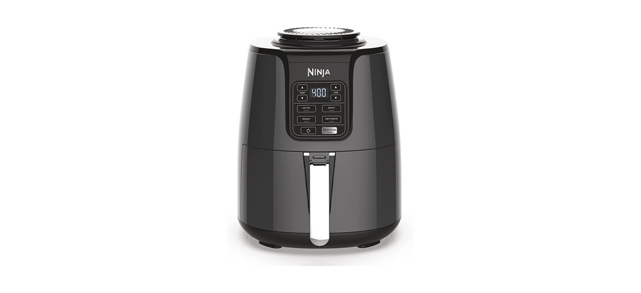 Best Ninja Air Fryer