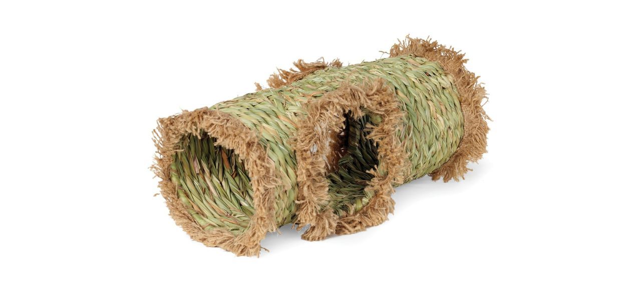 Prevue Hideaway Grass Tunnel Toy