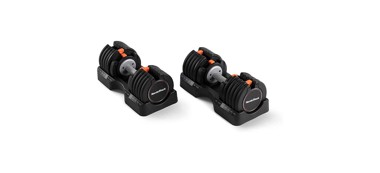 Best NordicTrack Dumbbells