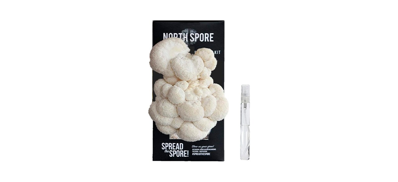 Best North Spore Lions Mane Mushroom Spray & Grow Kit