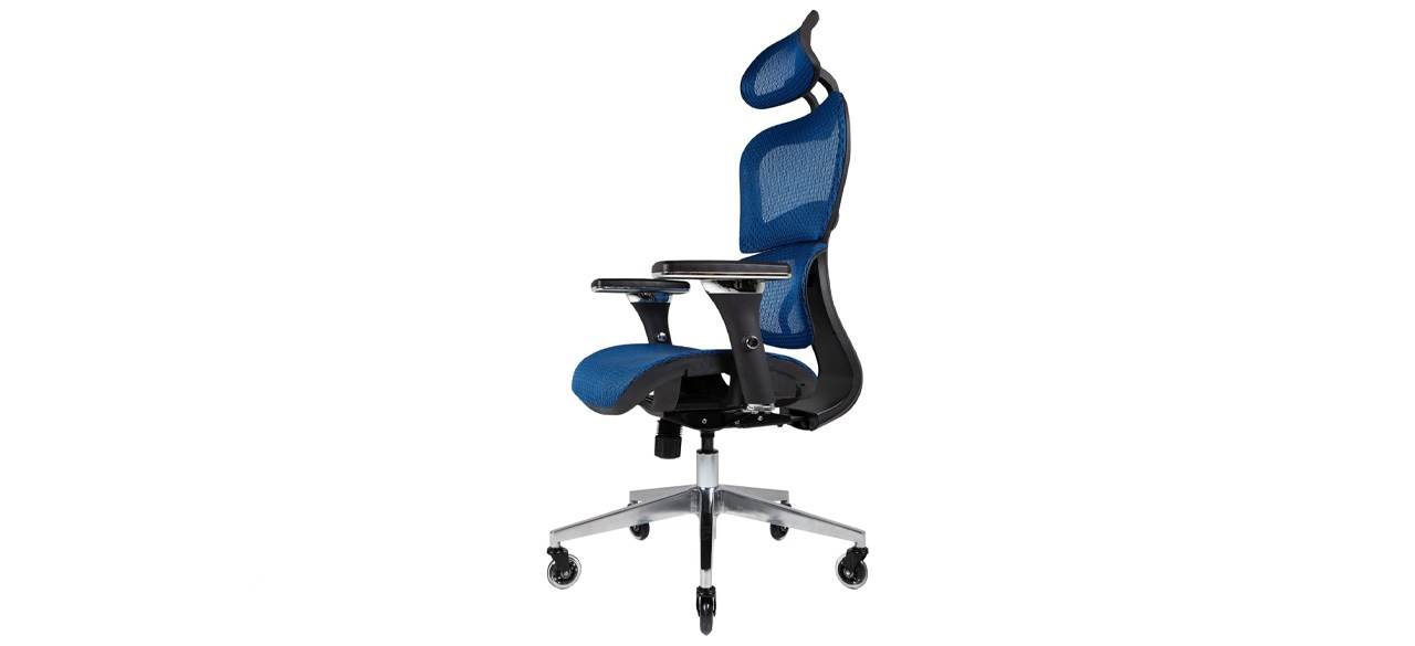 NOUHAUS Ergo3D Ergonomic Office Chair