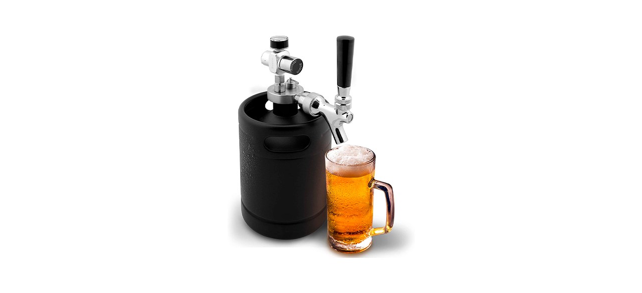 Best NutriChef Mini Keg