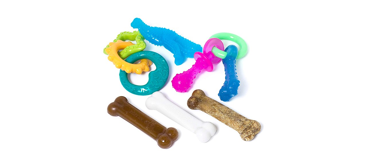 Best Nylabone Chew Toys for Teething