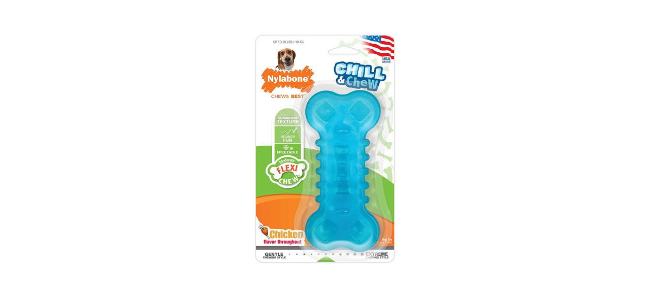 best Nylabone Moderate Chill & Chew Toy