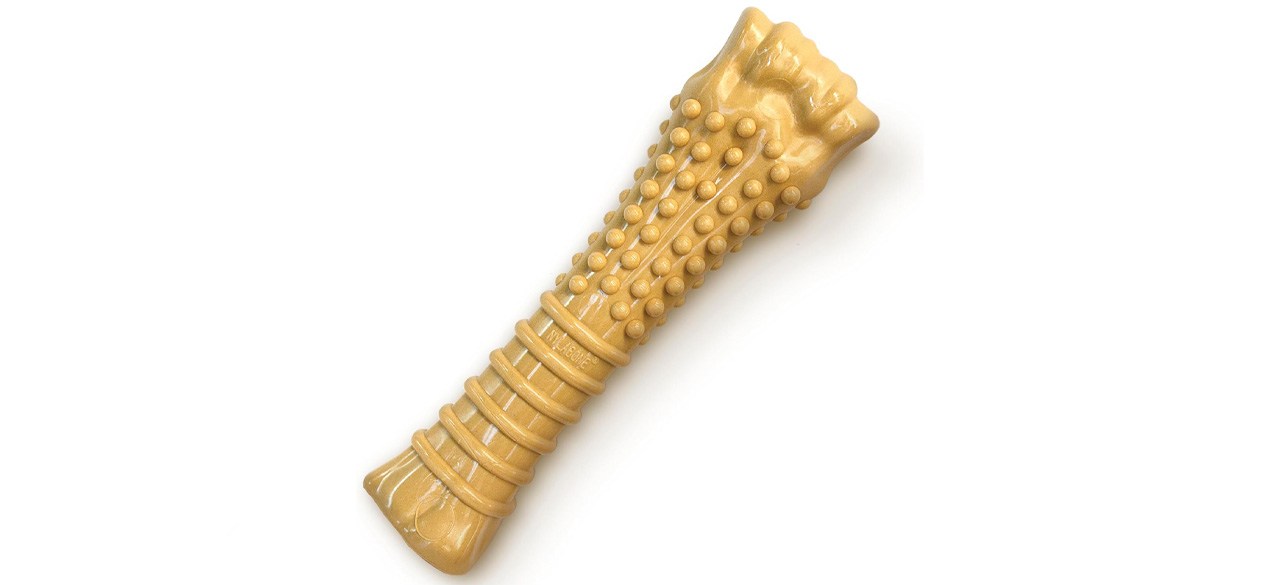 Osso per cani da masticare Nylabone Power