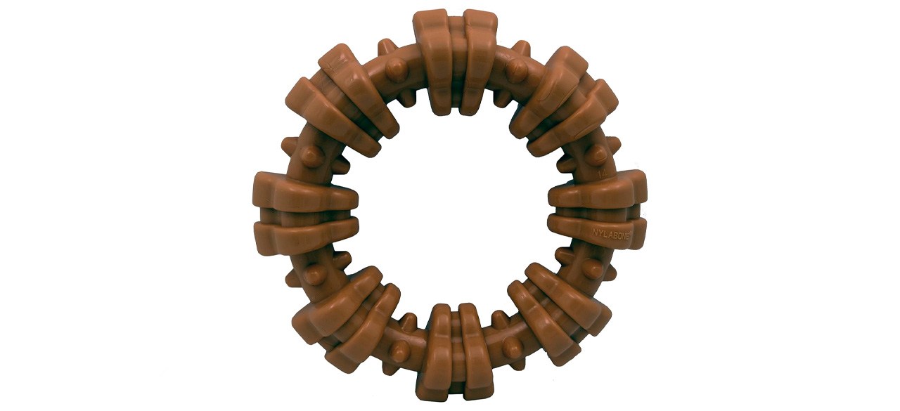 Anello strutturato Nylabone Power Chew