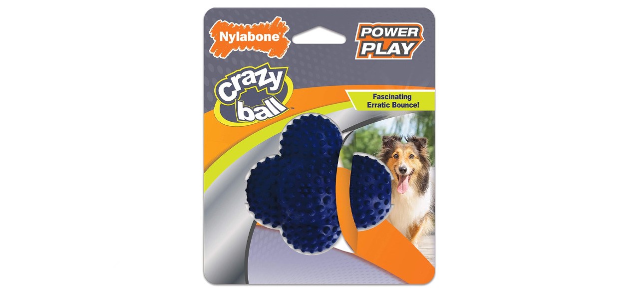 Nylabone Power Gioca a Crazy Ball