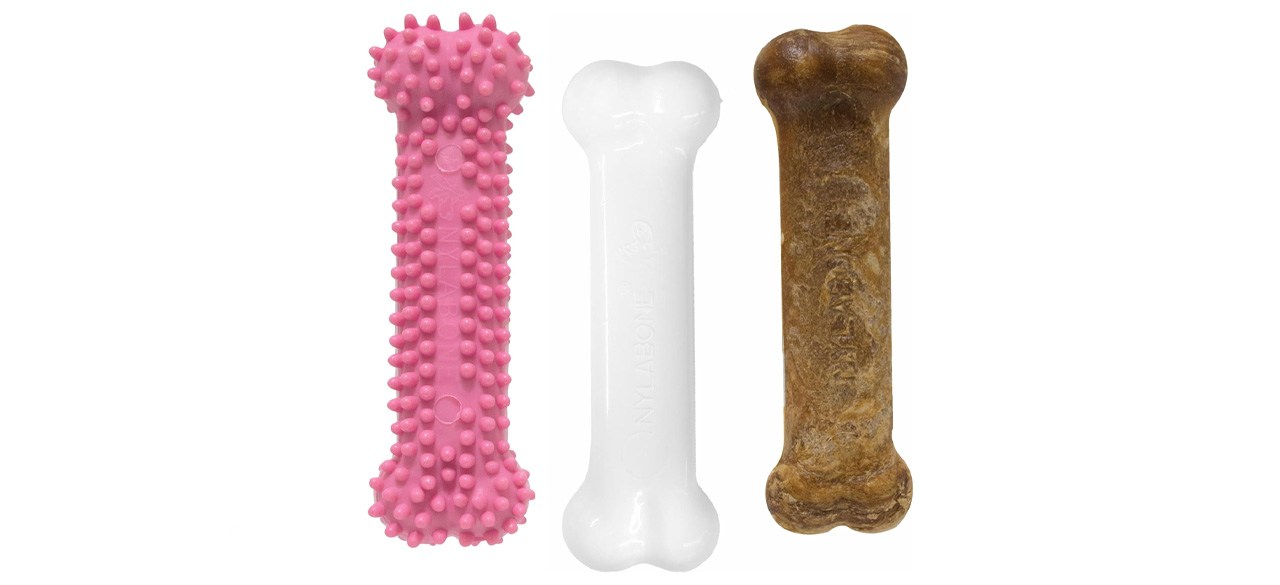 Confezione tripla di giocattoli da masticare per cuccioli Nylabone