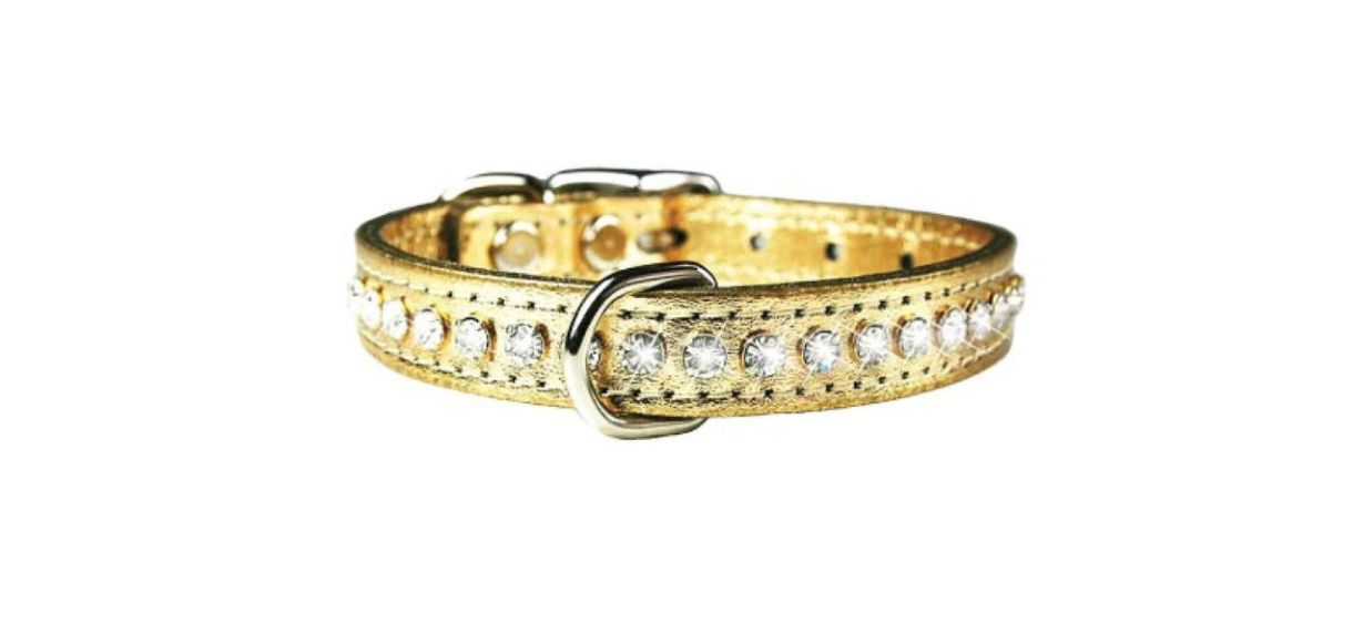 Best OmniPet Signature Leather Crystal Dog Collar in Metallic Gold