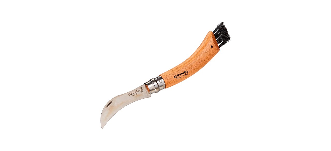 Best Opinel #8 Stainless Steel Folding Mushroom Knife