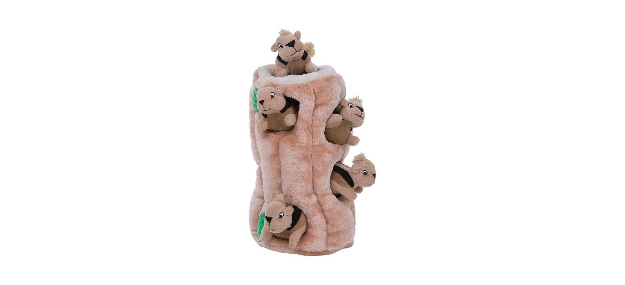 Best Outward Hound Hide A Squirrel Plush Dog Toy