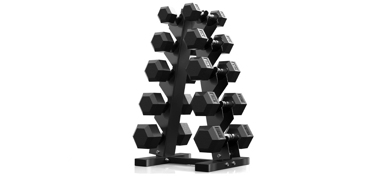 Papababe Hex Dumbbell Set 