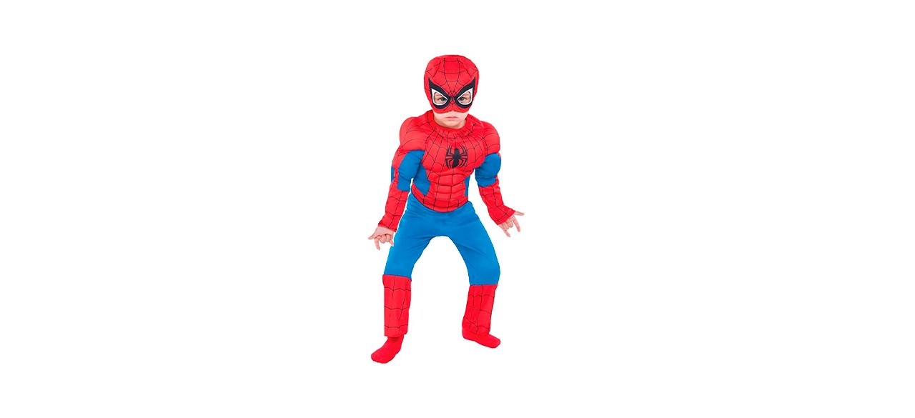 Best Party City Classic Spider-Man Muscle Halloween Costume