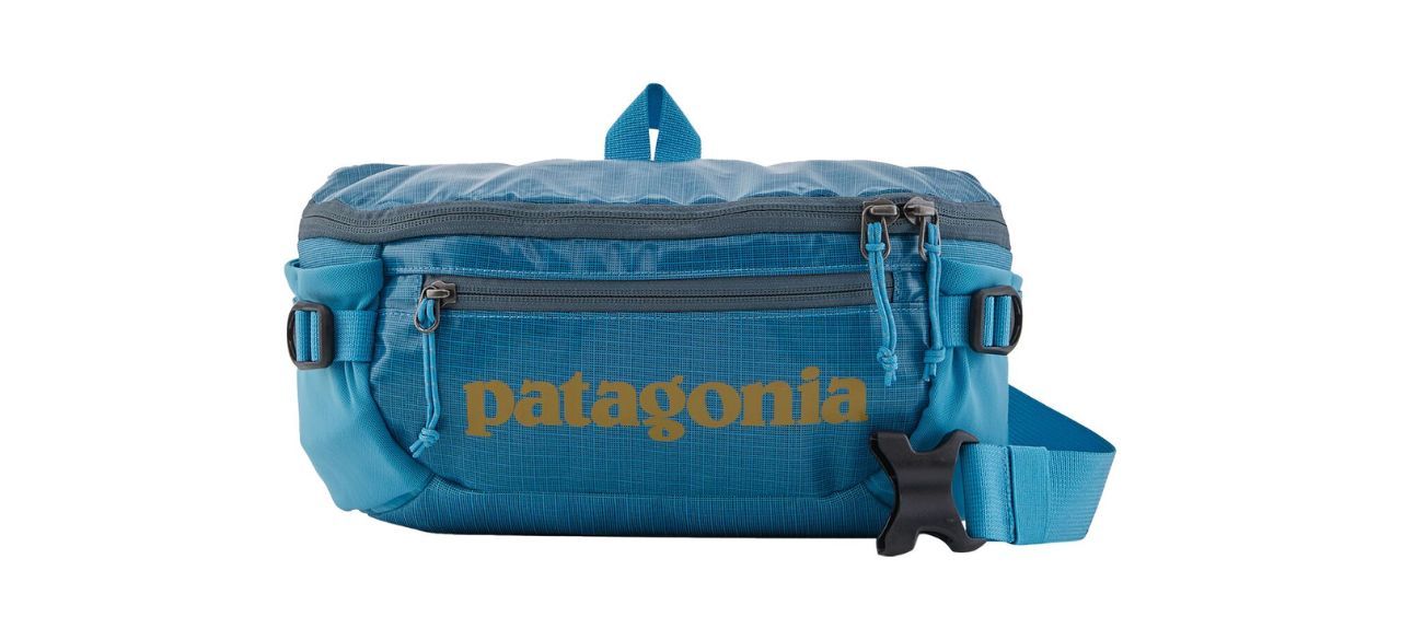 Best Patagonia Black Hole Waist Pack