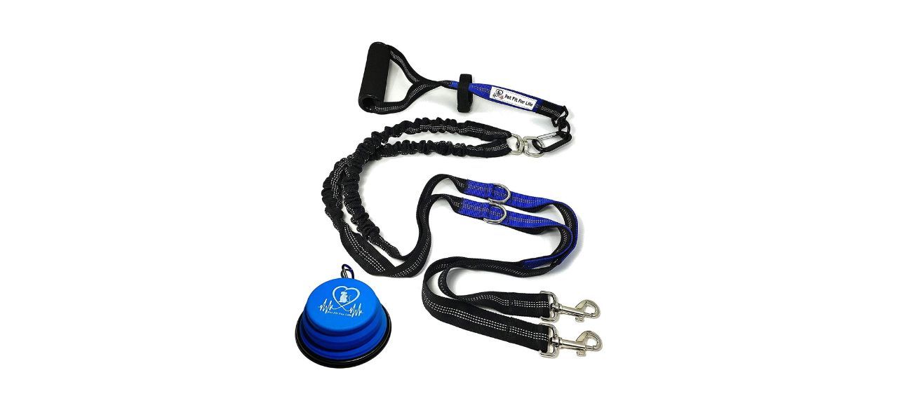 Best double outlet leash for dogs