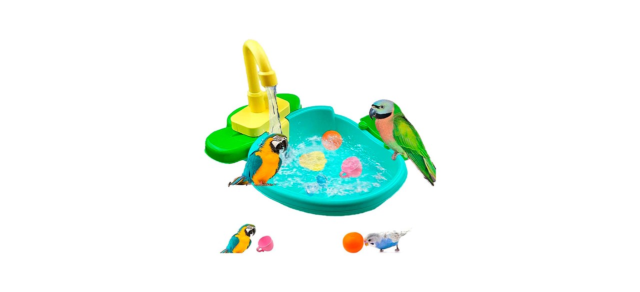 Best Petlex Bird Bath for Cage