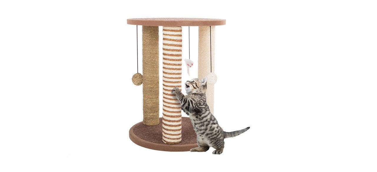 best PETMAKER Cat Scratching Post