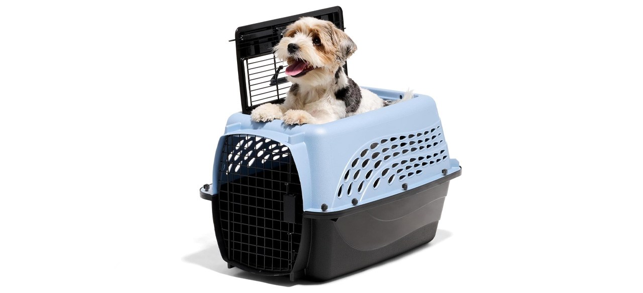 Petmate Two-Door Top Load Kennel